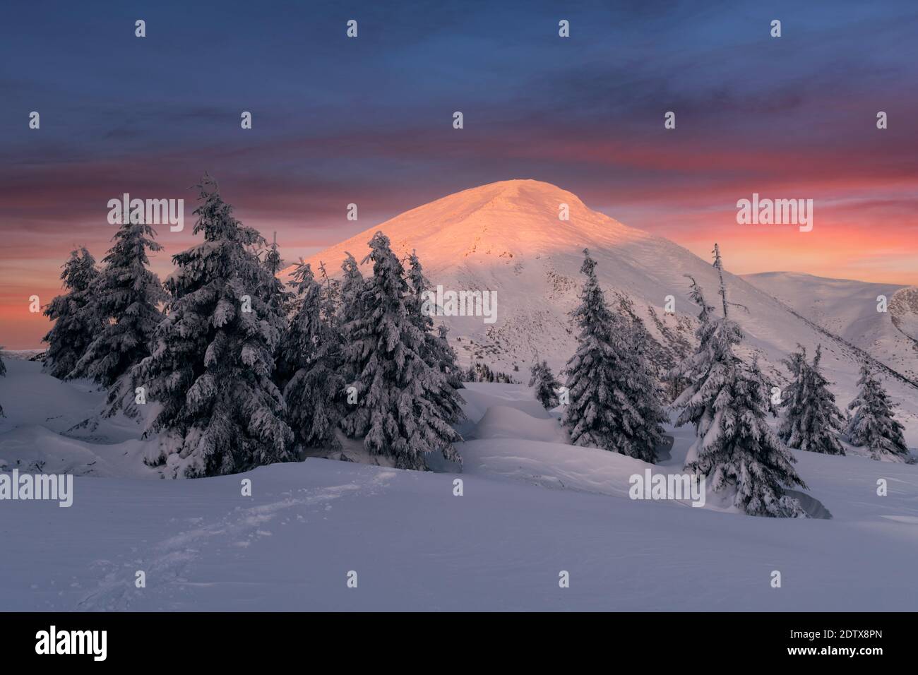 Fantastische Winterlandschaft in Snowy Mountains glühende von morgen das Sonnenlicht. Dramatische winterliche Szene mit gefrorenen verschneite Bäume bei Sonnenaufgang. Weihnachten Hintergrund Stockfoto