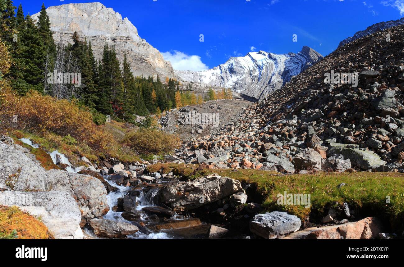 Creek auf Arethusa Trail Stockfoto