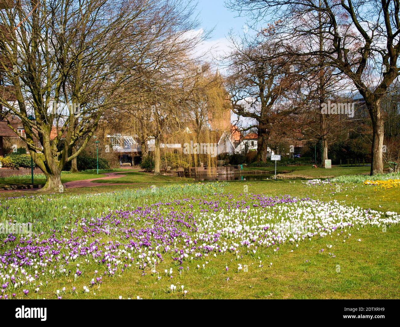 Westerstede, Deutschland: Grüner Stadtpark in Frühlingsblüte Stockfoto