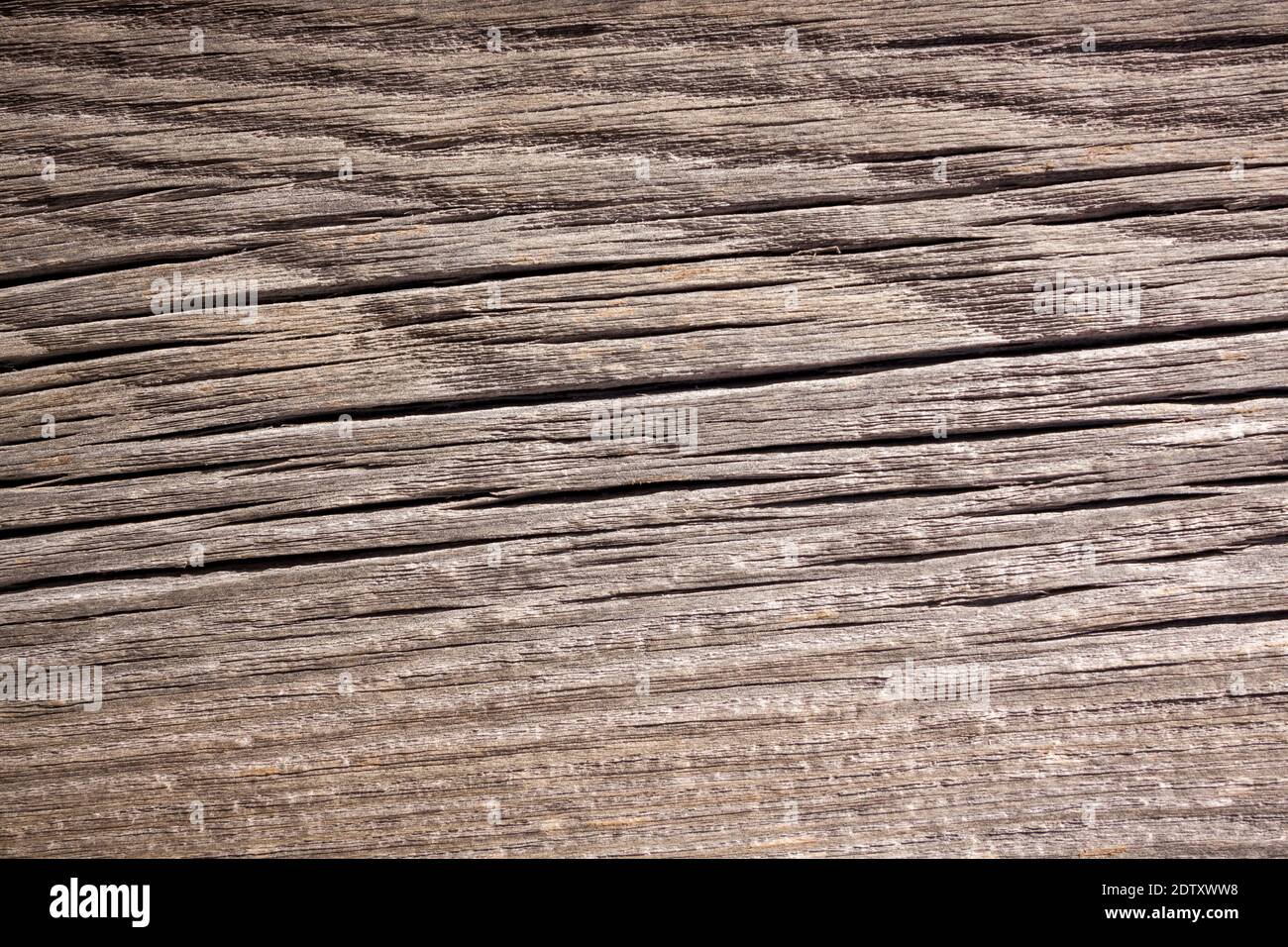 Natürlicher Holzhintergrund. Detaillierte grafische Ressource, frisch geschnittene Kiefernholz-Textur. Panoramabild im Grunge-Stil Stockfoto
