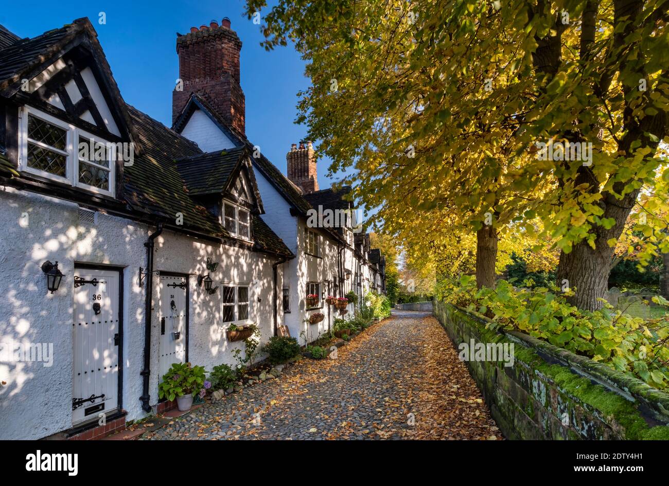 White Cottages im Herbst, School Lane, Great Budworth, Cheshire, England, Großbritannien Stockfoto