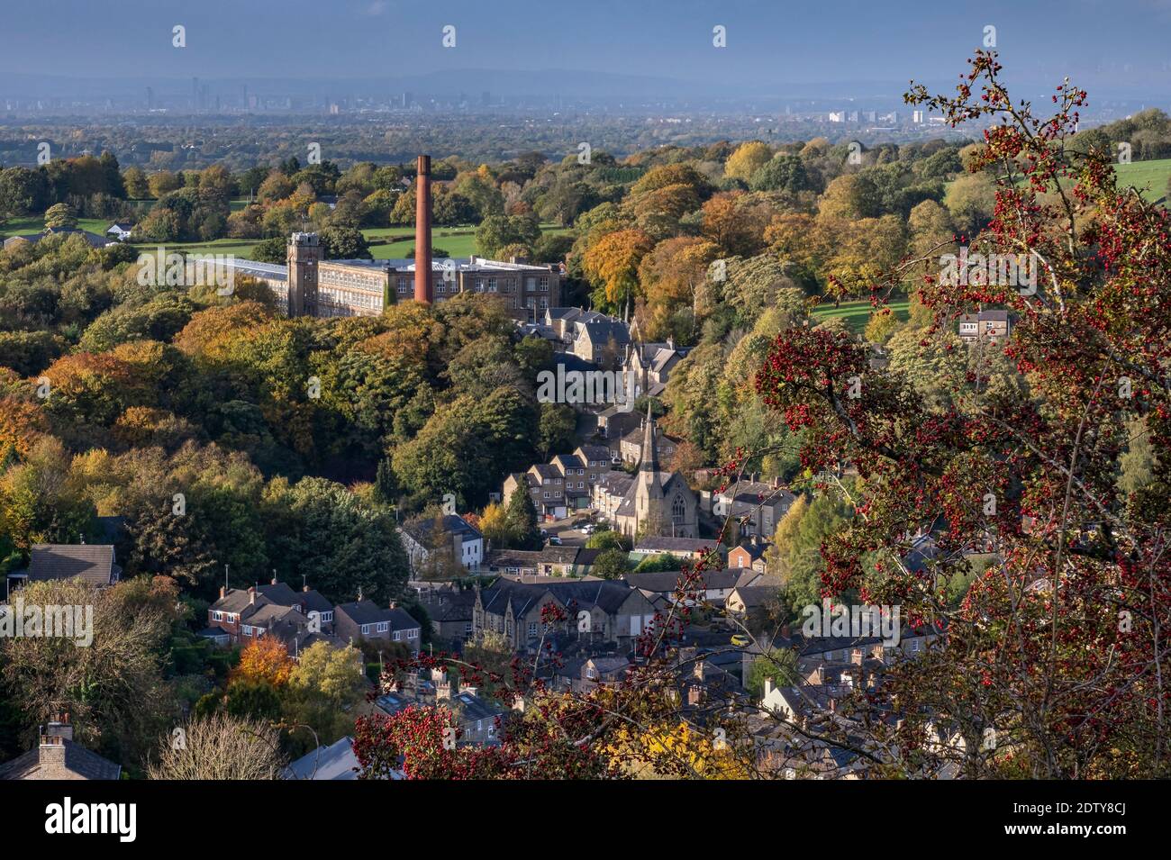 Clarence Mill, Bollington und die entfernte Stadt Manchester in Autmn umrahmt von Hawthorn Berries, Bollington, Cheshire, England, Großbritannien Stockfoto