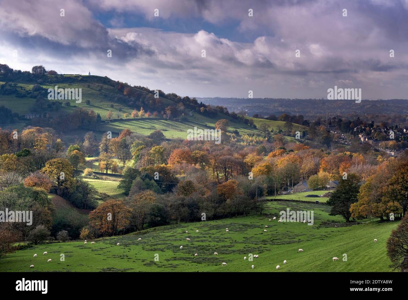 White Nancy und Kerridge Hill im Herbst, Bollington, Cheshire, England, Großbritannien Stockfoto