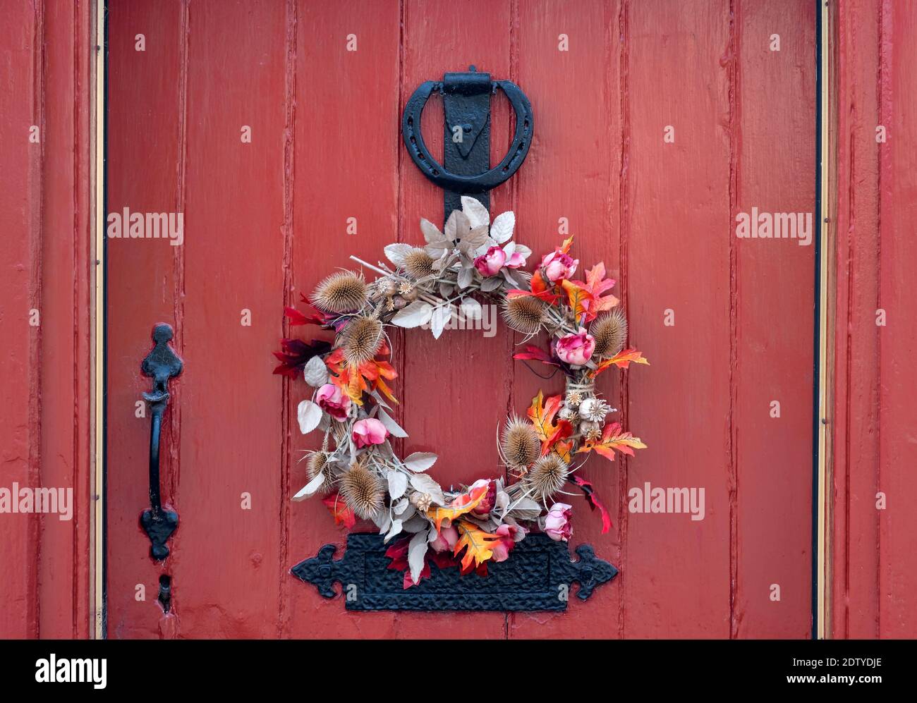 Saisonaler Herbstkranz an einer roten Haustür, Cheshire, England, Großbritannien Stockfoto