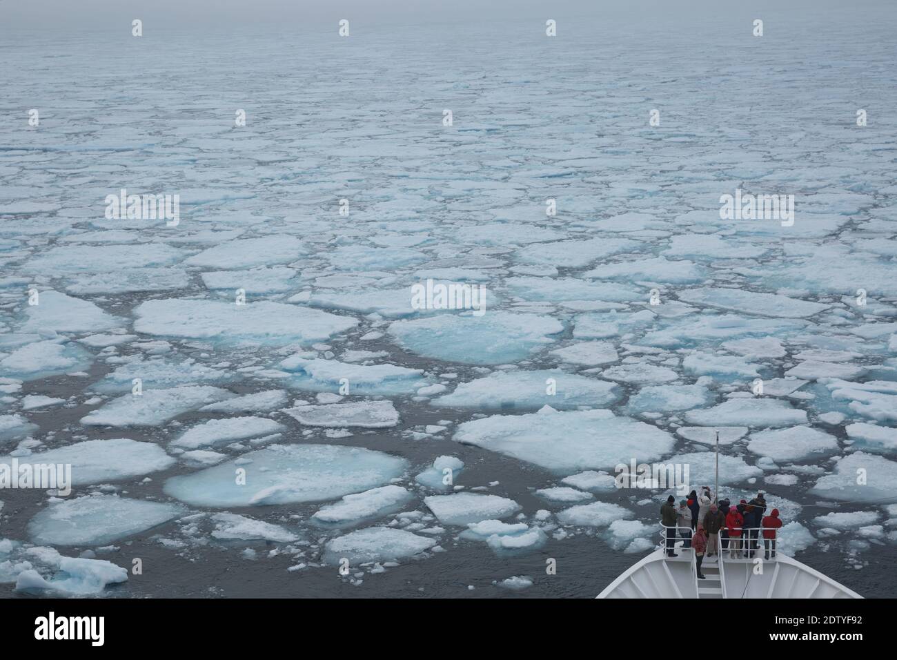 NY-Alesund, Svalbard, Norwegen - Juli 24 2017: Menschen auf Kreuzfahrtschiff zu Besuch Polar Eiskappe und den Rand des gefrorenen Landes rund um den Nordpol. Stockfoto