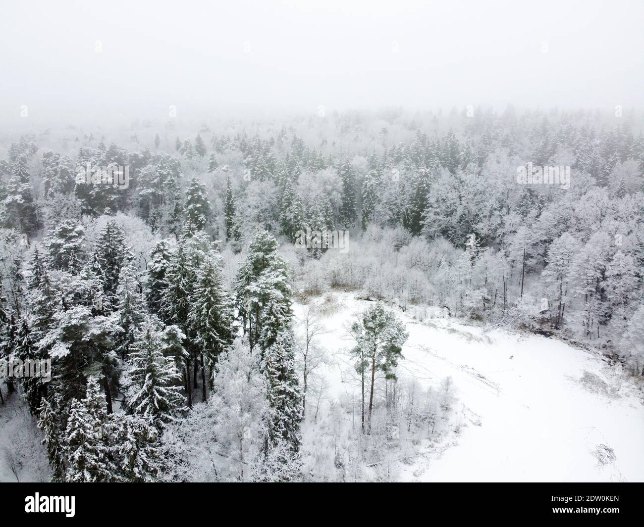 Winterwald mit verschneiten Bäumen, Luftaufnahme. Winterlandschaft, Luftlandschaft mit gefrorenem Fluss, Bäume bedeckt weißen Schnee Stockfoto