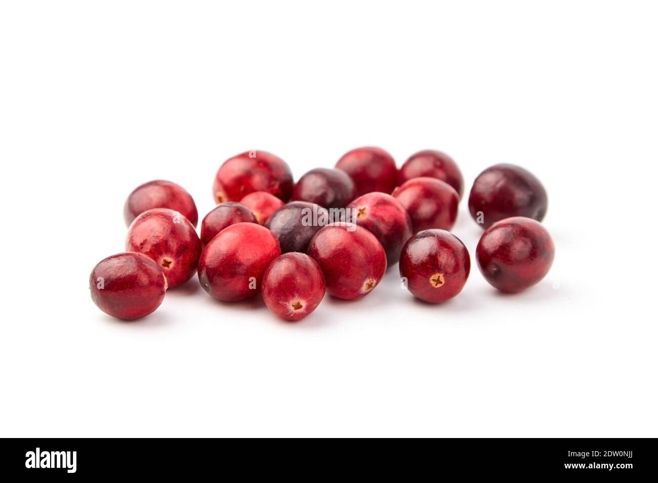 Preiselbeeren isoliert auf weißem Hintergrund. Haufen frischer roter Beeren. Verstreute Herbst große Preiselbeeren Stockfoto