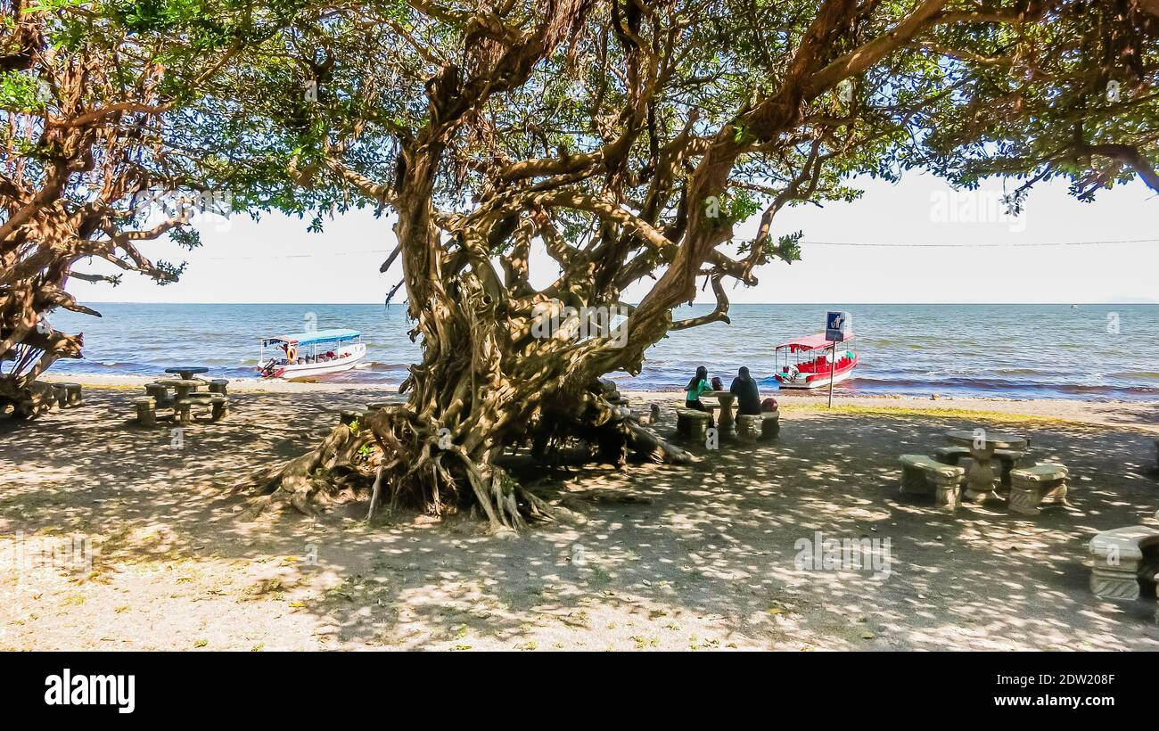 Boot am Lake of Nicaragua Relaxing Lake Nicaragua Landschaft mit Baum. Nicaragua, Mittelamerika.gua durch die Inselchen von Granada, Nicaragua Stockfoto