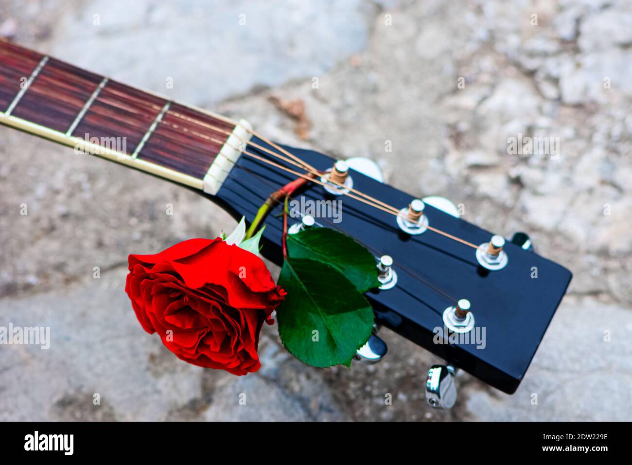 Akustikgitarre Kopfplatte verziert mit roten Rose Stockfoto