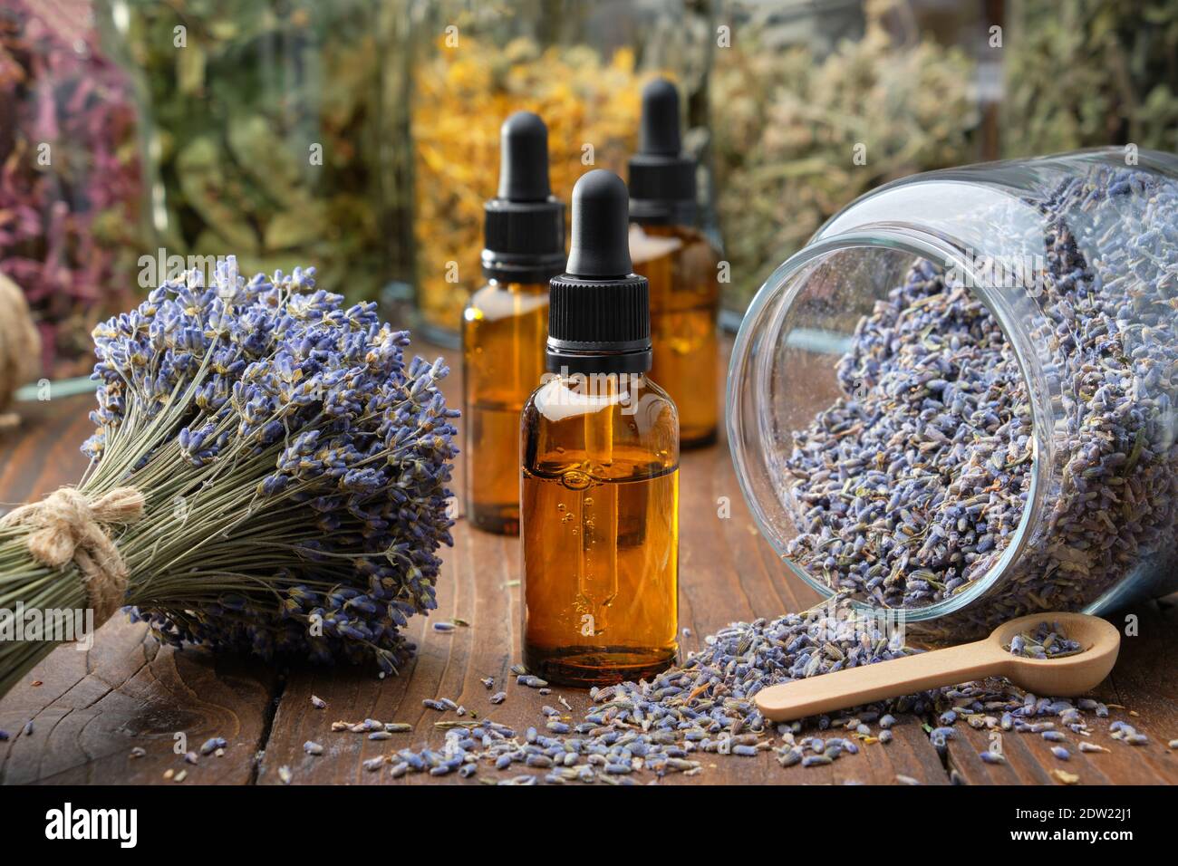 Tropfflasche mit ätherischem Lavendelöl, Glas mit trockenen Lavendelblüten, Trauben mit trockenem Lavendel. Gläser mit verschiedenen trockenen Heilkräutern auf Backgro Stockfoto