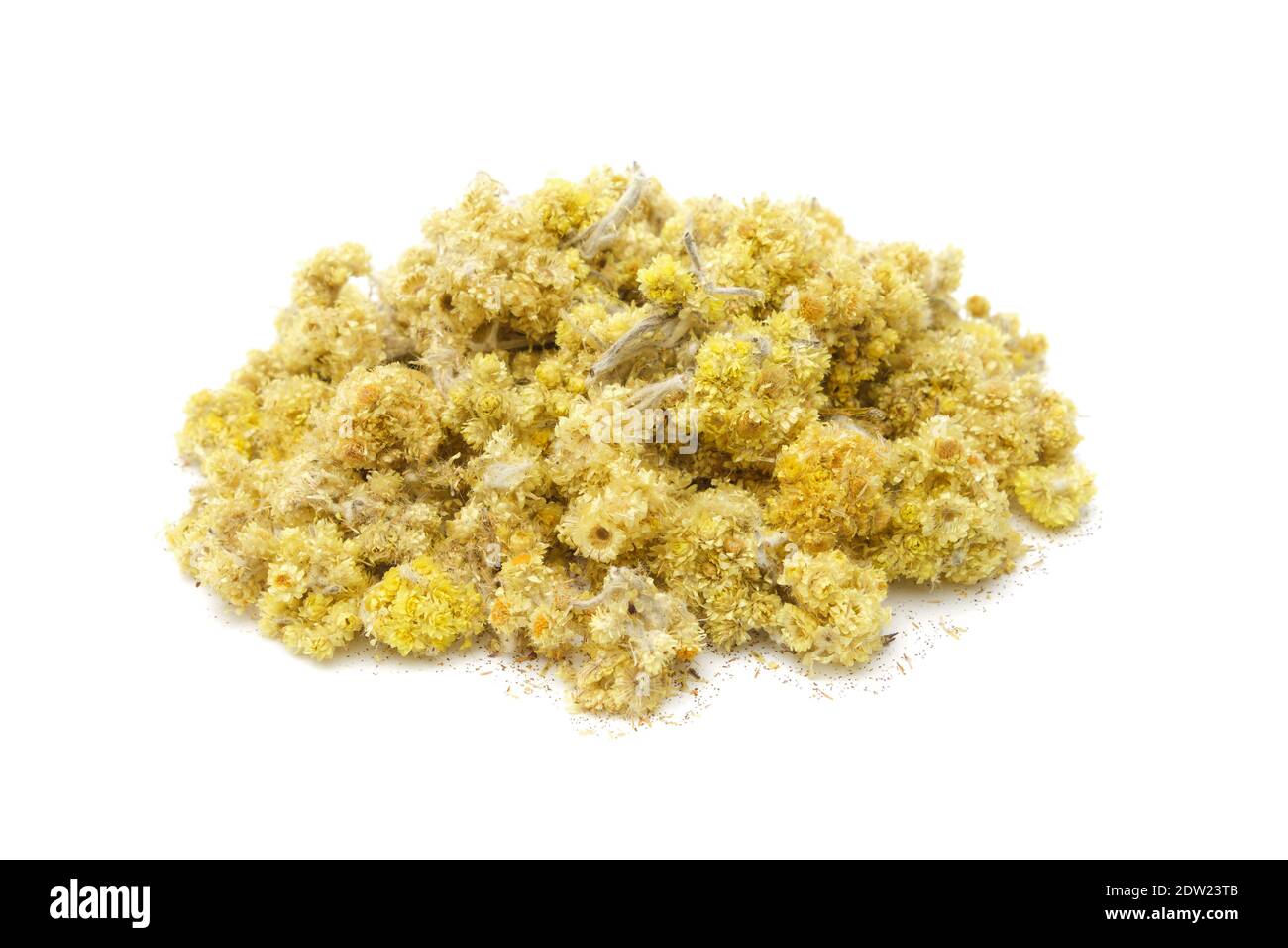 Haufen getrockneter gesunder Helichrysum arenariumblüten. Trockene Immortelle oder Zwerg everlast Haufen auf weiß. Alternative Medizin. Stockfoto