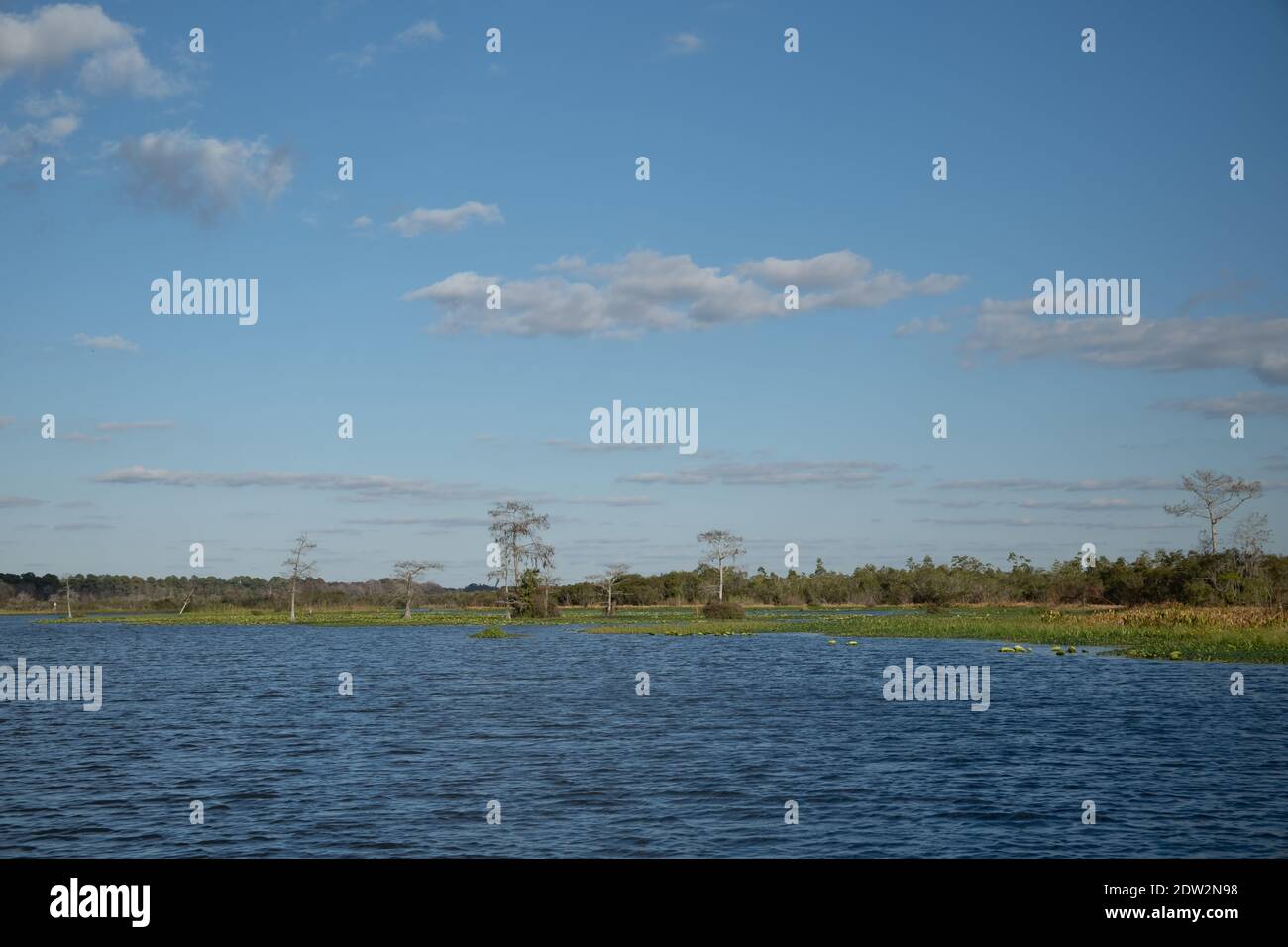 See Rousseau, Withlacoochee River in Citrus County Florida. Ein beliebter Stausee zum Angeln in North Central Florida Stockfoto