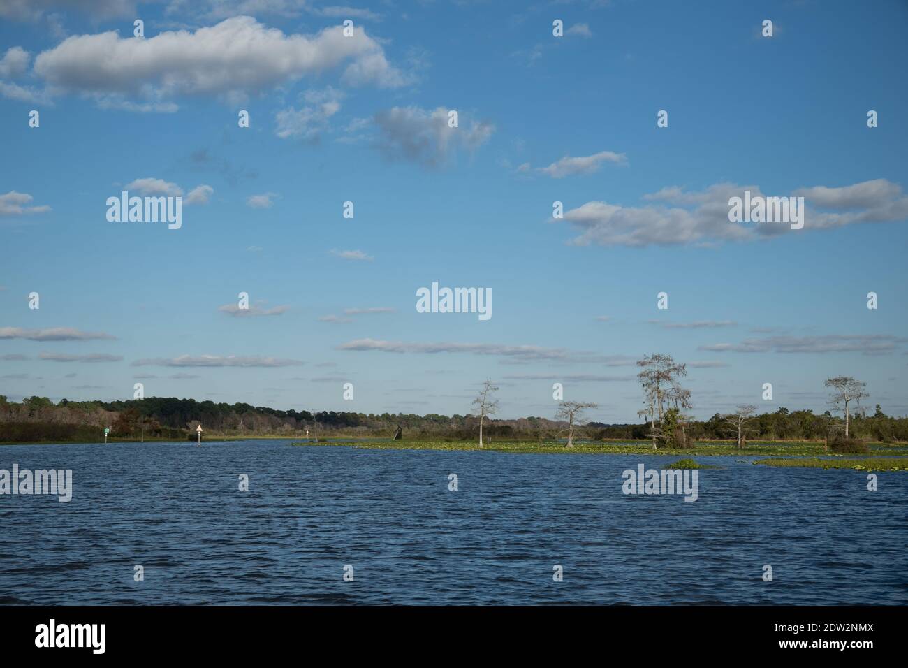 See Rousseau, Withlacoochee River in Citrus County Florida. Ein beliebter Stausee zum Angeln in North Central Florida Stockfoto