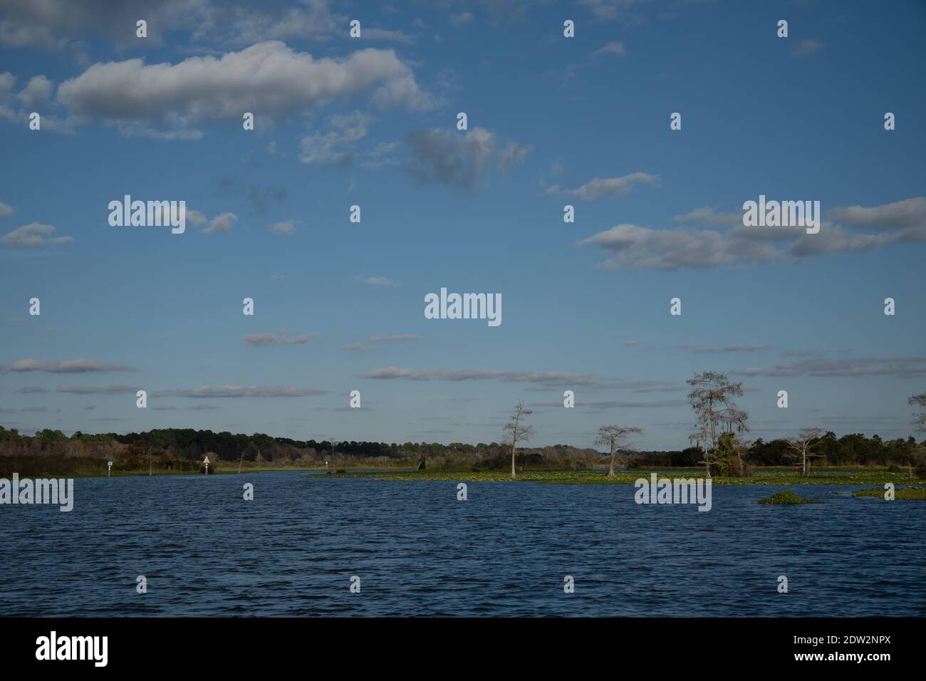 See Rousseau, Withlacoochee River in Citrus County Florida. Ein beliebter Stausee zum Angeln in North Central Florida Stockfoto
