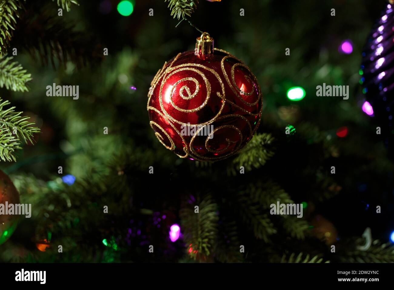 Ein glänzend roter weihnachtsbaum Ornament mit Golddeko auf ihm hängt von einem weihnachtsbaum Zweig, weihnachtslichter umgeben in Bokeh-Effekt Stockfoto