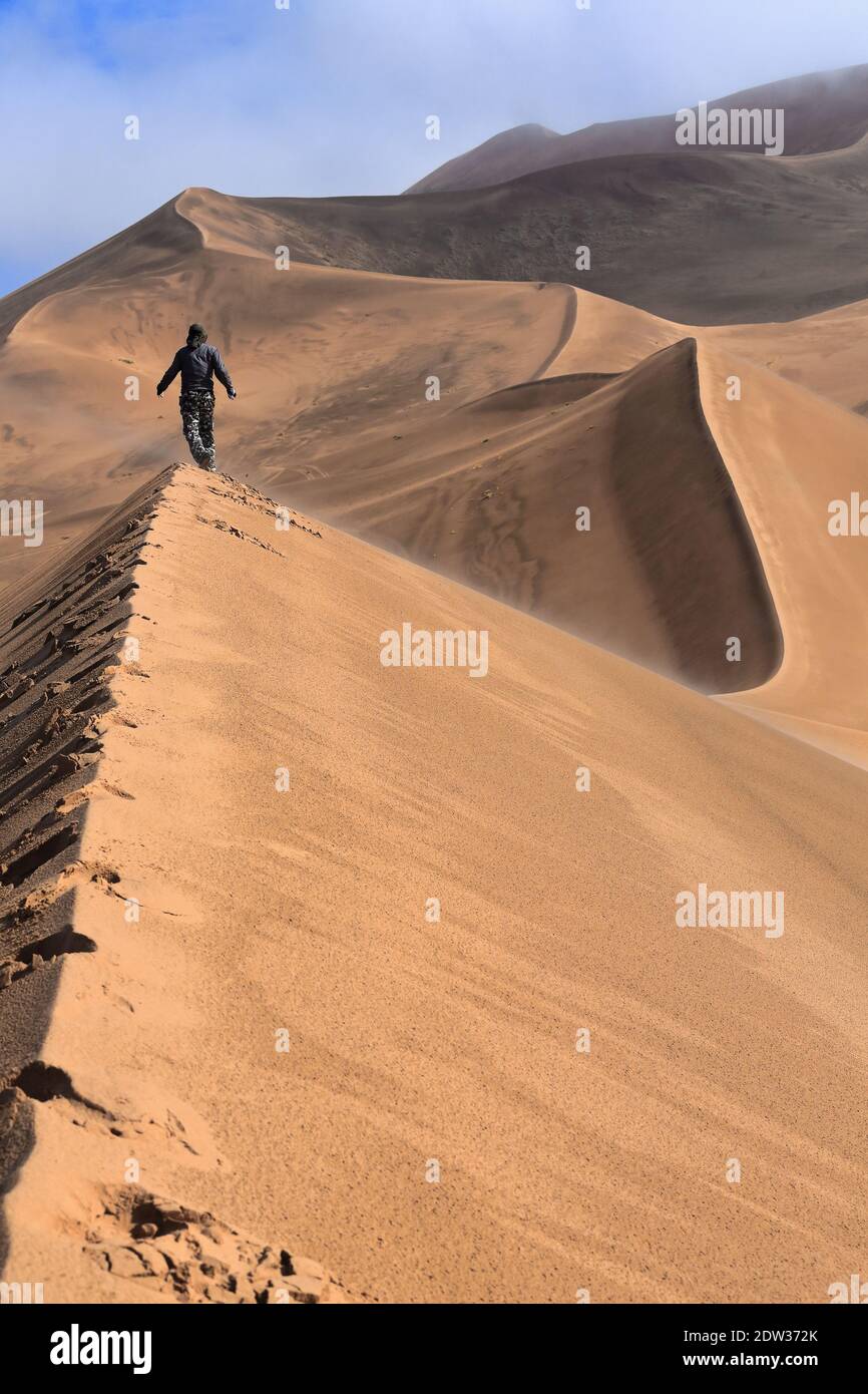 Tourist zu Fuß ein Megadune Ridge. Badain Jaran Wüste-Innere Mongolei-China-1176 Stockfoto