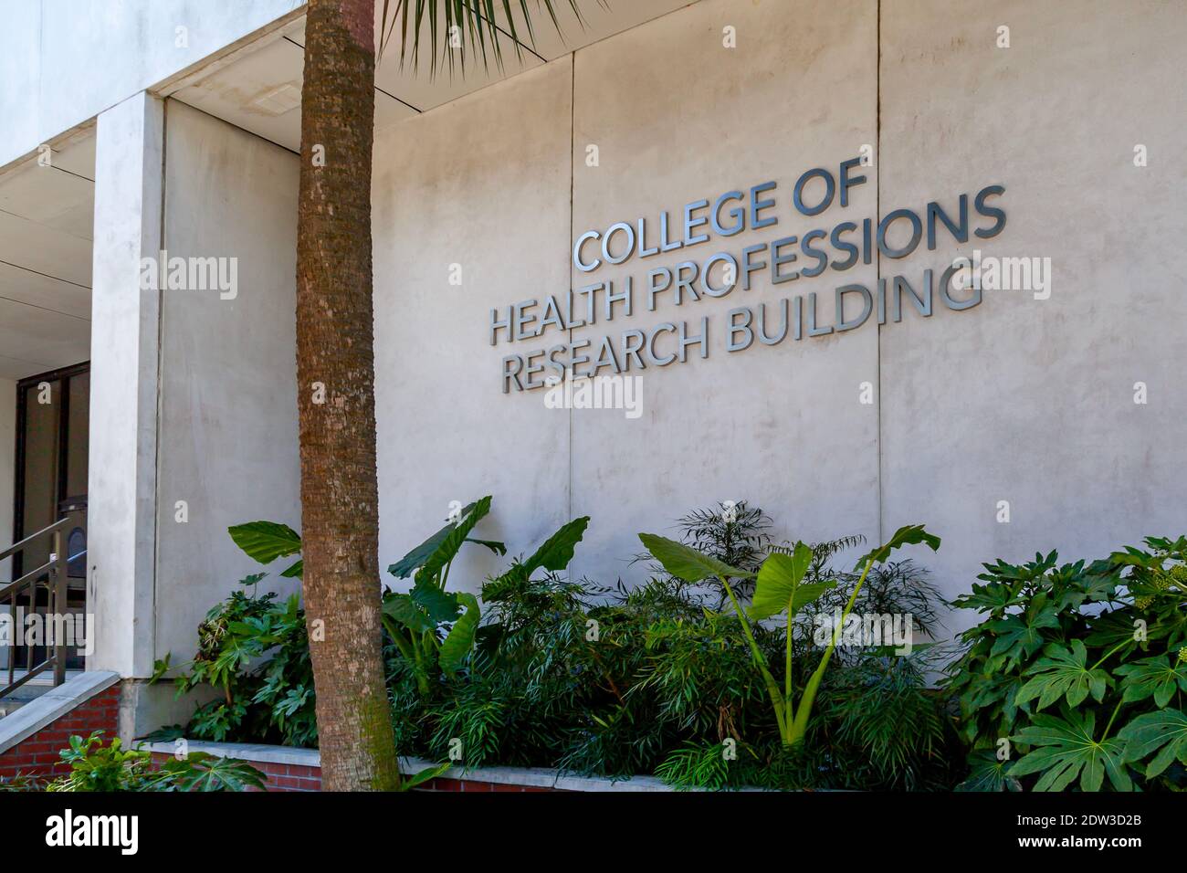 Charleston, SC, USA - 28. Februar 2020: MUSC College of Health Professionsions Research Building in Charleston, South Carolina, USA. Stockfoto