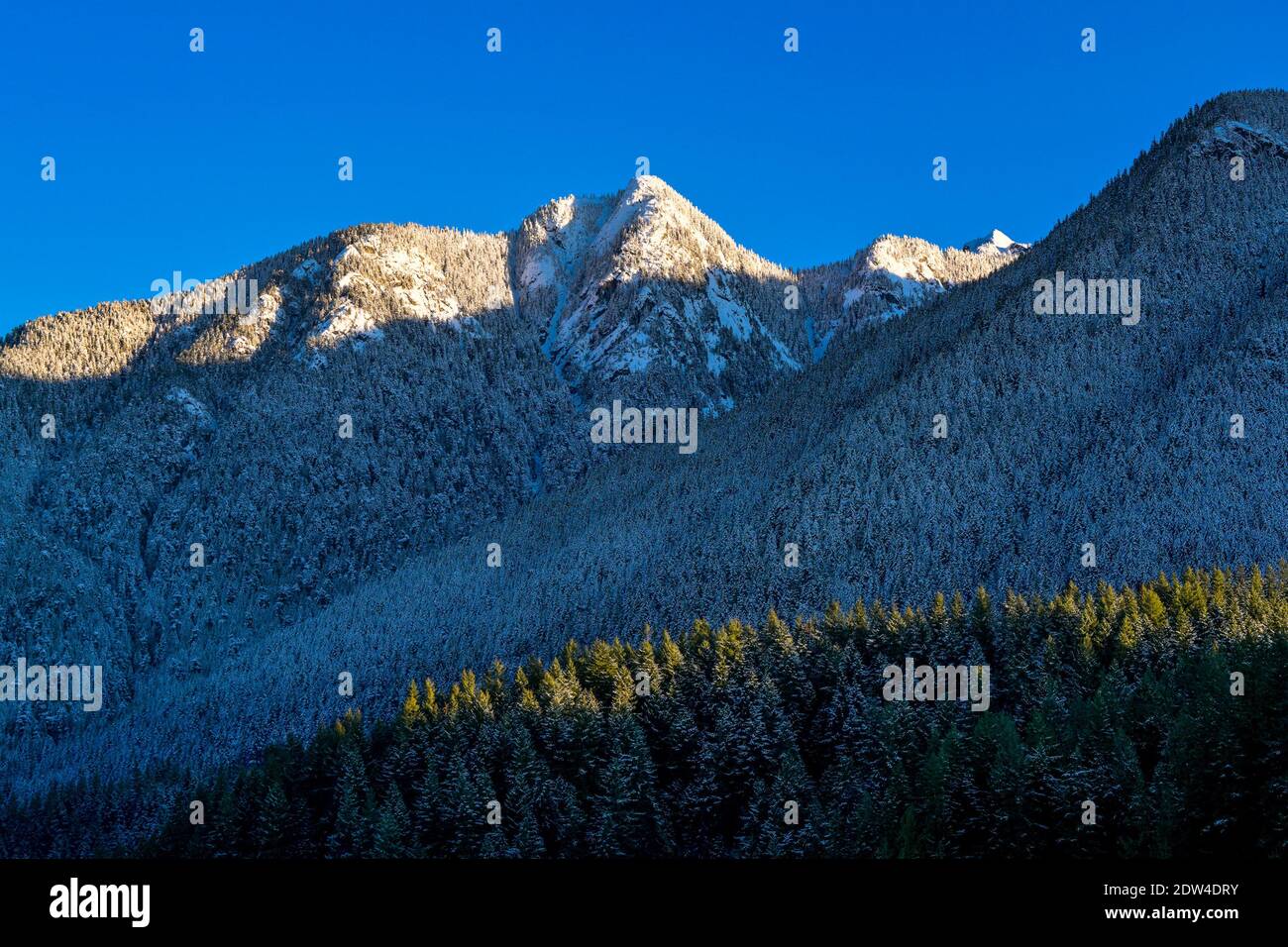 Crown Mountain, North Shore Mountains, N. Vancouver, British Columbia, Kanada Stockfoto