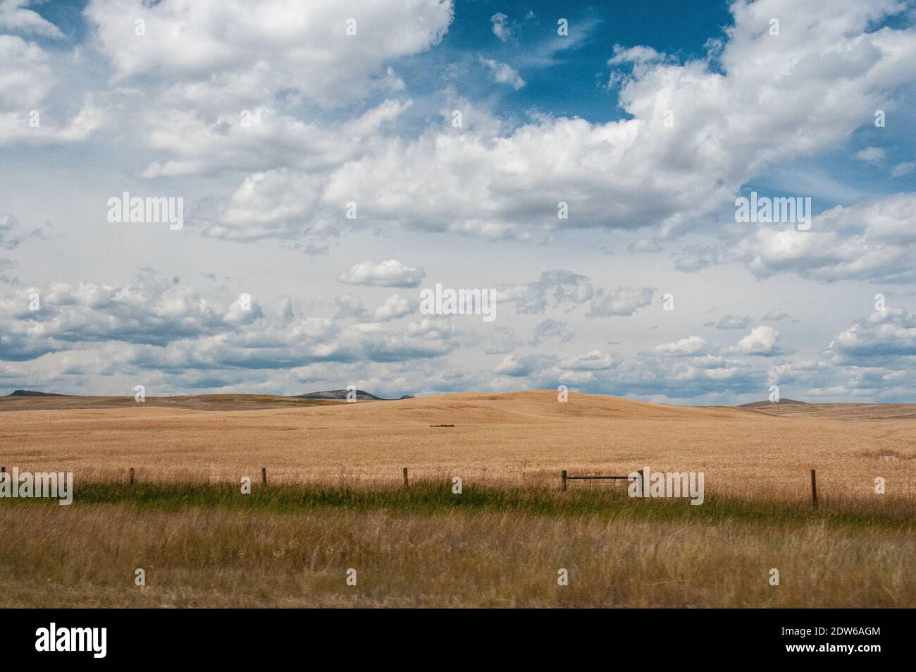 Weite Weite Landschaft des amerikanischen Westens mit Grasfeldern und einem großen Himmel. Stockfoto