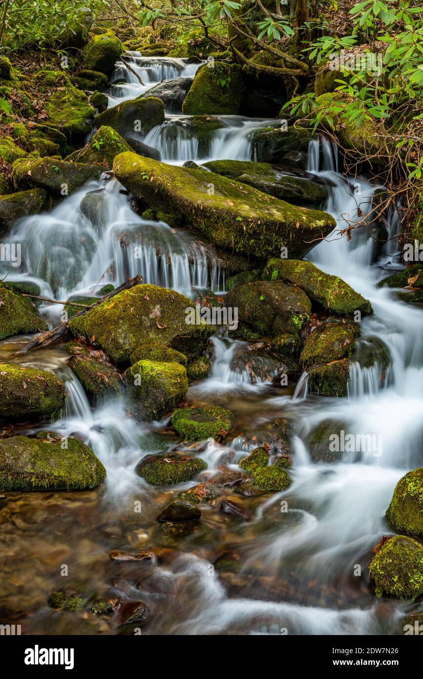 Lange Exposition von Mossy Rocks und rauschenden Kanati Creek in Great Smoky Mountains National Park Stockfoto