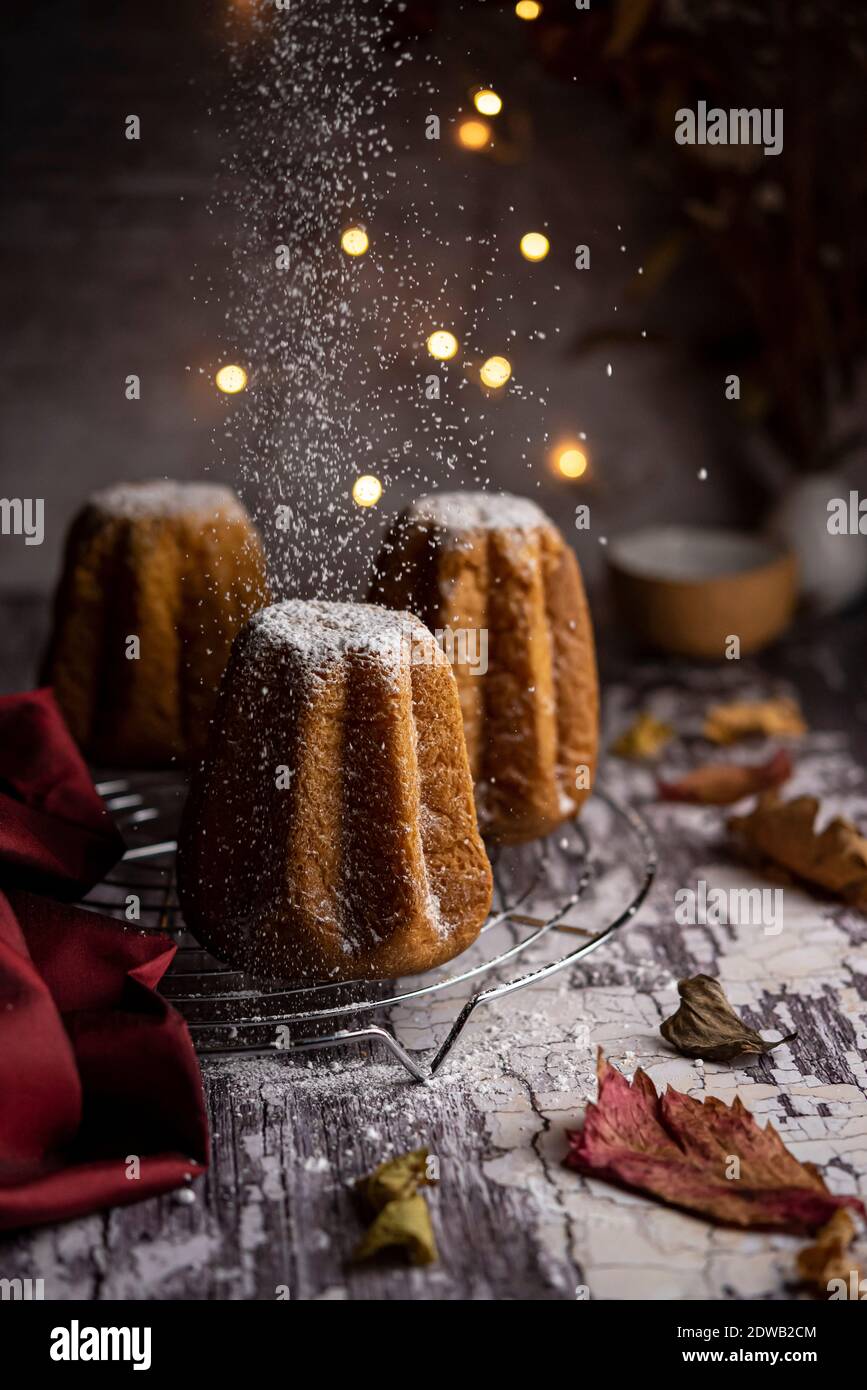 Pandoro mit Staubwischen von Puderzucker Stockfoto
