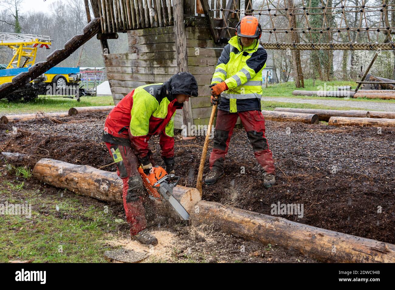 Holzfäller Schneiden Baumstamm Mit Kettensägen An Regnerischen Tagen.  Teamarbeit Stockfotografie - Alamy