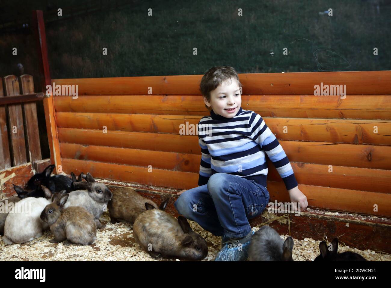 Kind und Kaninchen auf dem Bauernhof innen Stockfoto