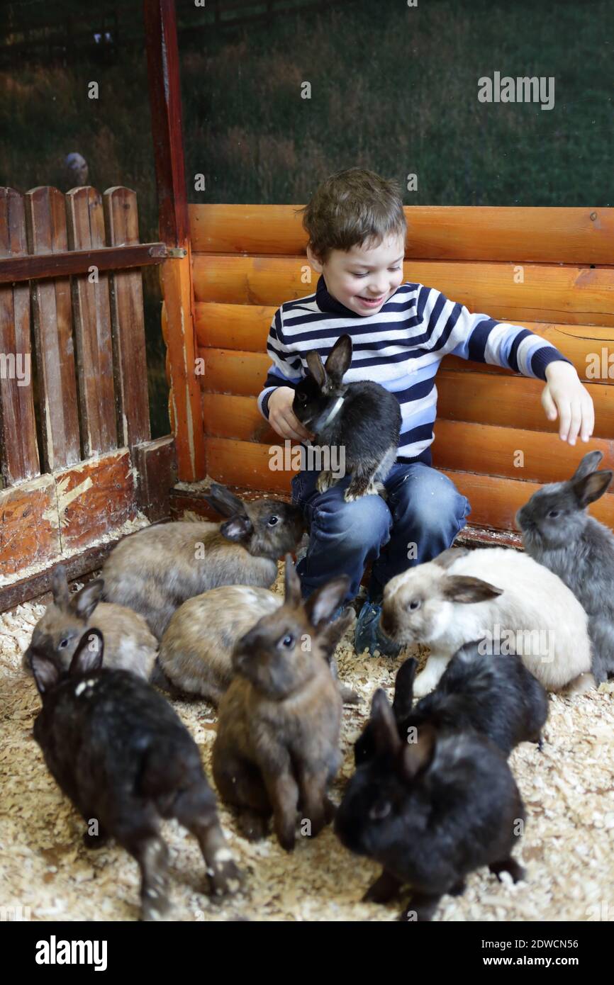 Kinder füttern Kaninchen auf dem Bauernhof innen Stockfoto