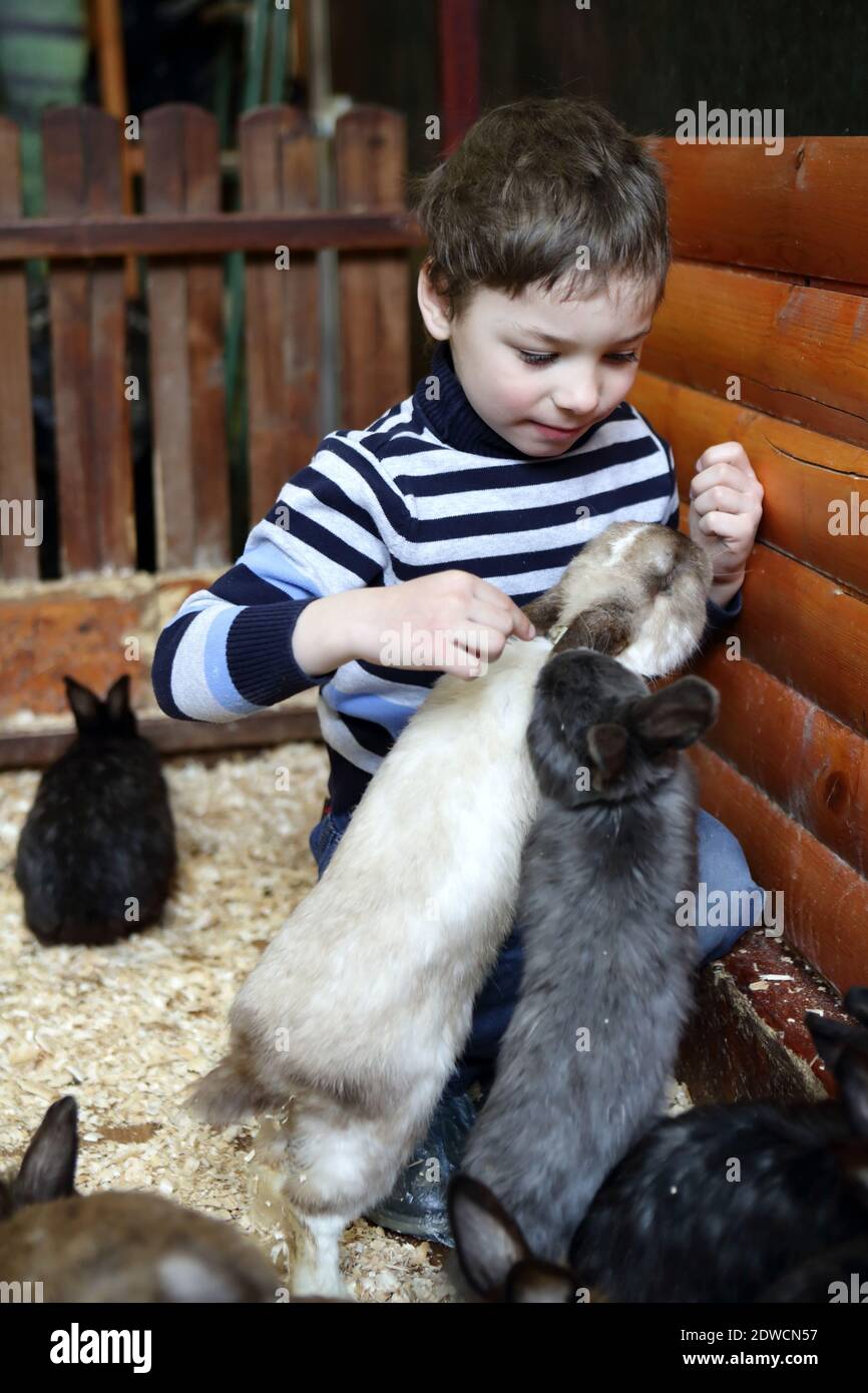 Junge spielt mit Kaninchen auf dem Bauernhof Stockfoto