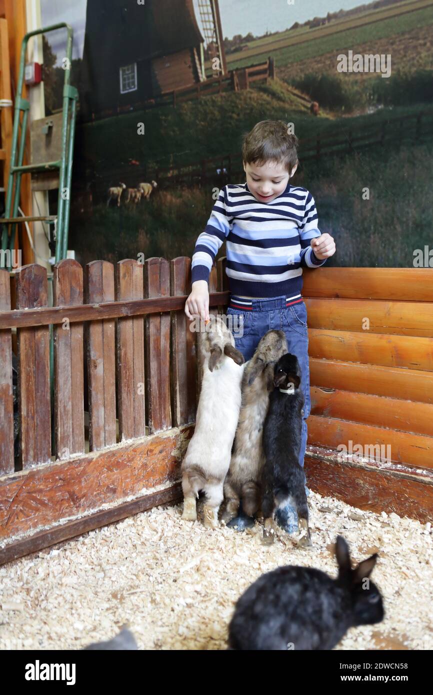 Junge mit Kaninchen auf dem Hof innen Stockfoto