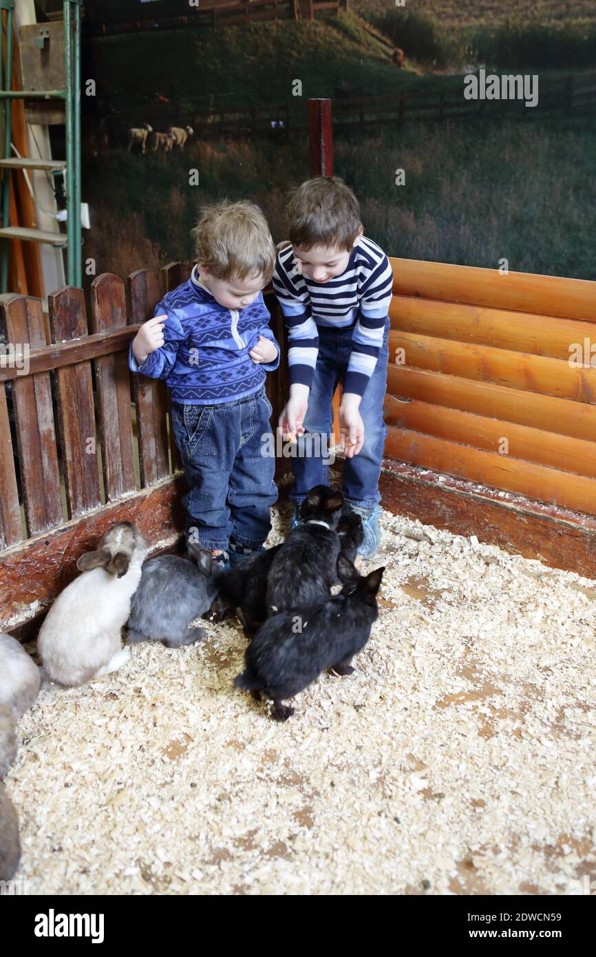 Kinder mit Kaninchen auf dem Bauernhof innen Stockfoto