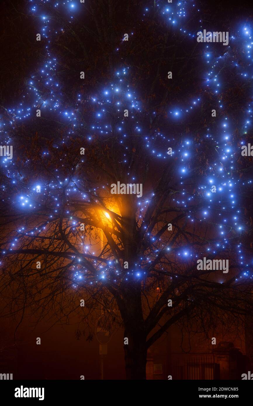 Blaue Weihnachtslichter in den Bäumen entlang der brackley High Street im frühen Morgennebel. Brackley, Northamptonshire, England Stockfoto