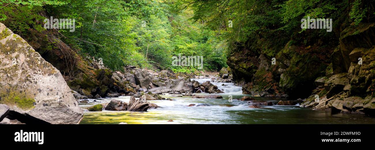 Gebirgsfluss im Wald. Wasser auf den Steinen. Stockfoto