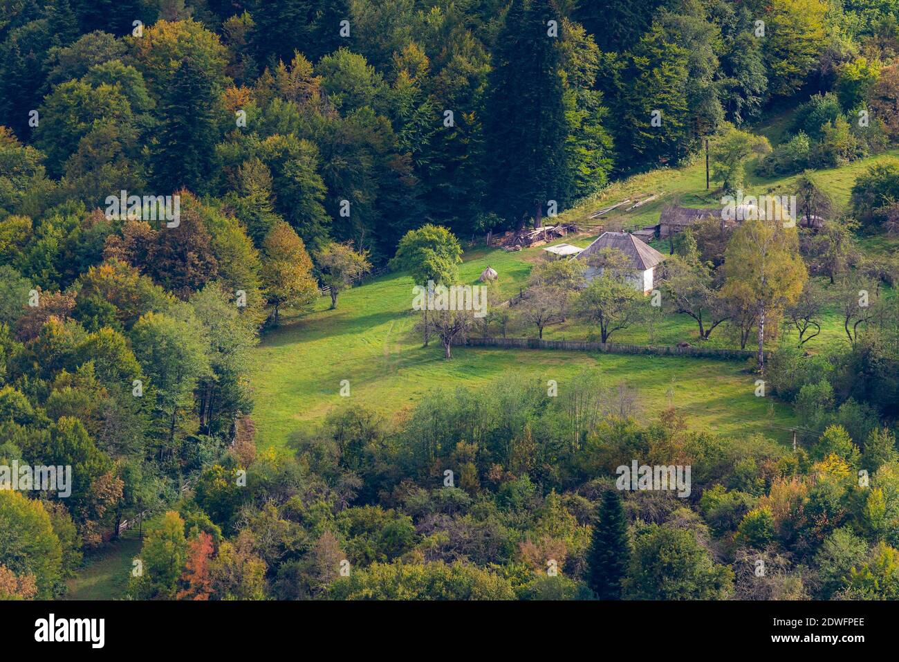 Antenne Landschaft mit Haus in der Natur. Ruhiger Ort im Wald. Stockfoto