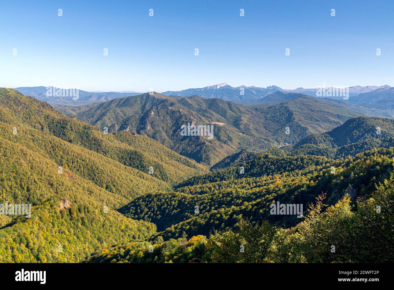 Panoramablick über die von Wald bedeckten Berge. Stockfoto