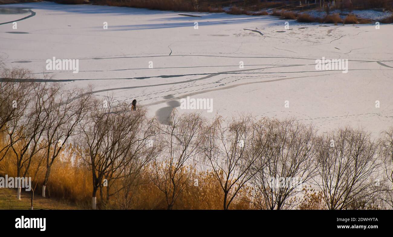 Ein Mann und sein Hund spielen auf einem gefrorenen See. Stockfoto