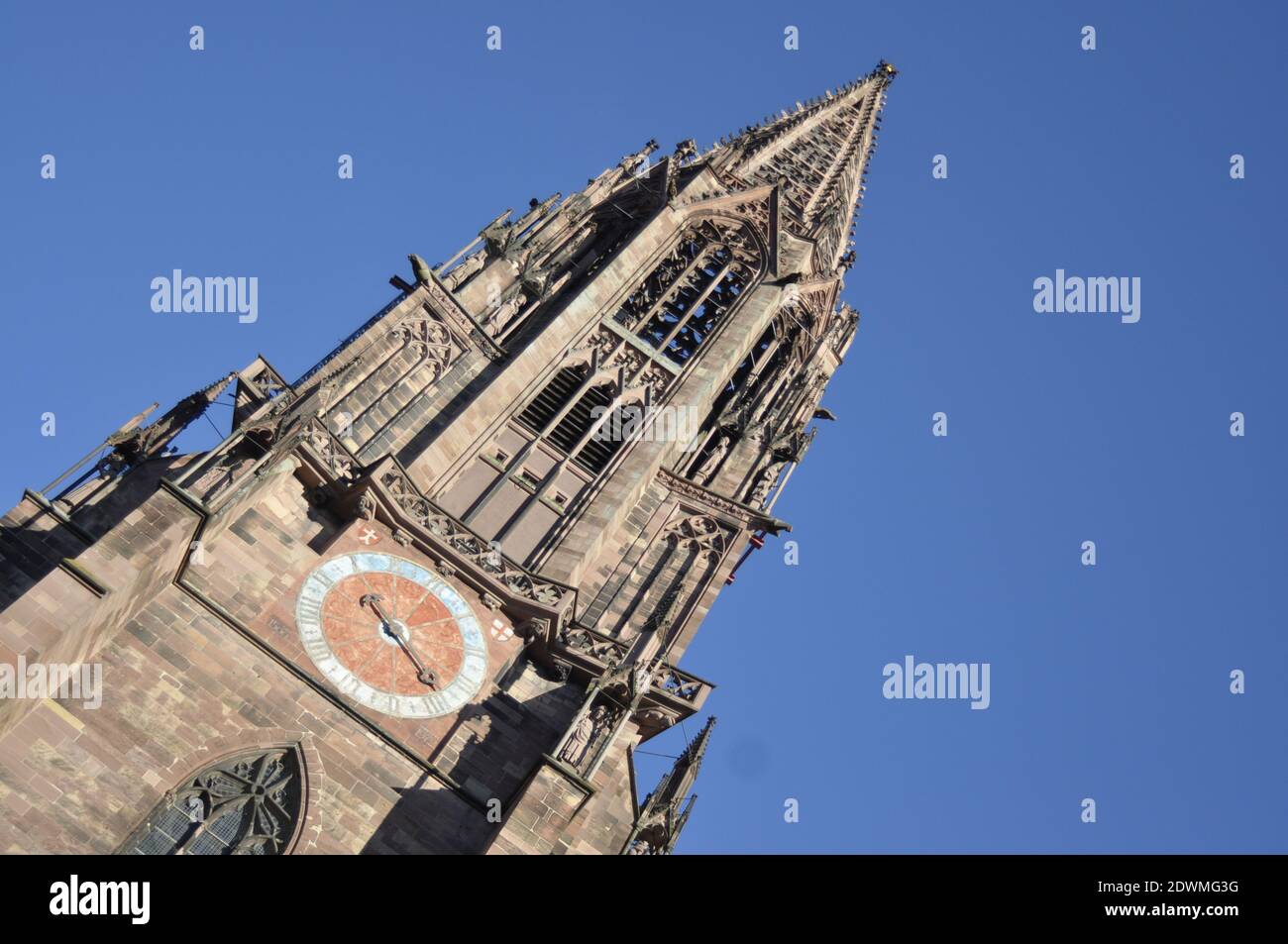 Freiburger Münster, Deutschland Stockfoto