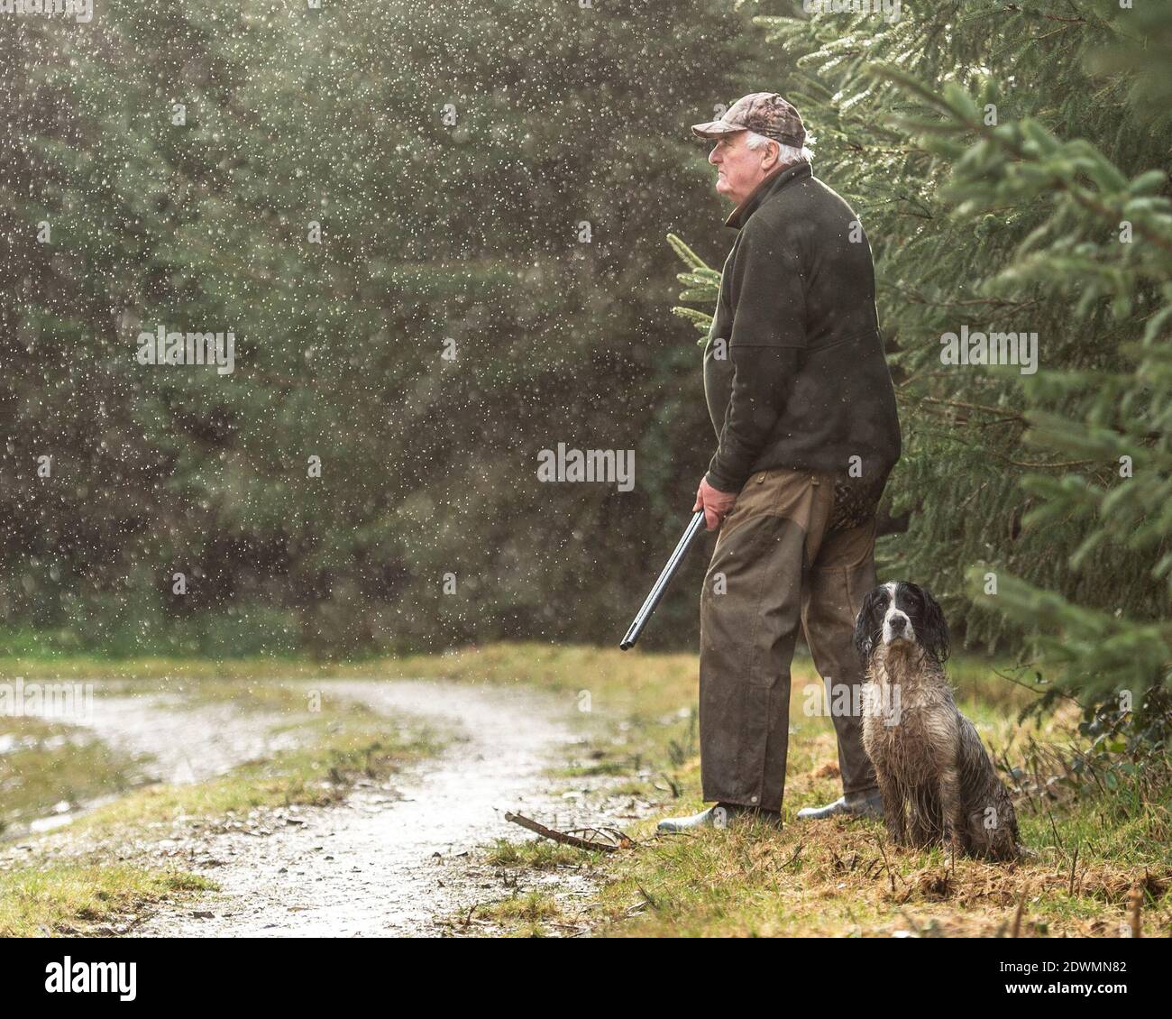 Alter Mann und sein Hund auf Fasanenschießen Stockfoto
