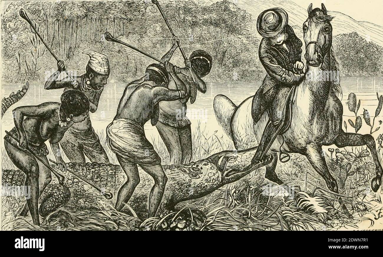 Rev. Mr. Butler und der Alligator aus dem Buch "Christian Adventures in South Africa" von Reverend William Taylor, 1821-1902. Erschienen in New York bei Nelson & Phillips 1877 Stockfoto
