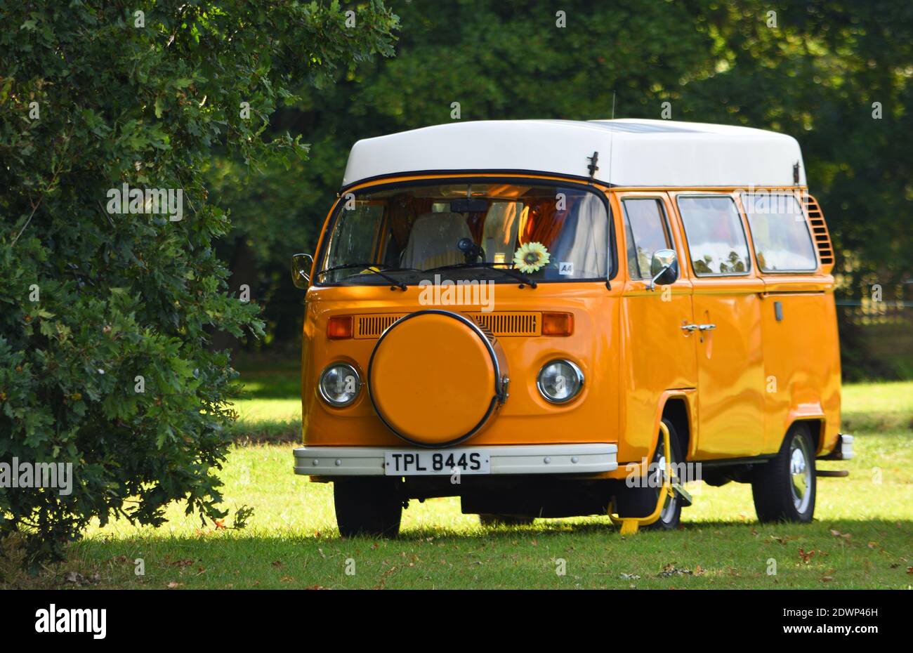 Classic Orange VW Camper Van auf Dorfgrün geparkt. Stockfoto