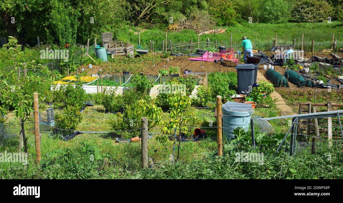 Zwei Leute, die an einem sonnigen Tag an der Zuteilung arbeiten. Stockfoto