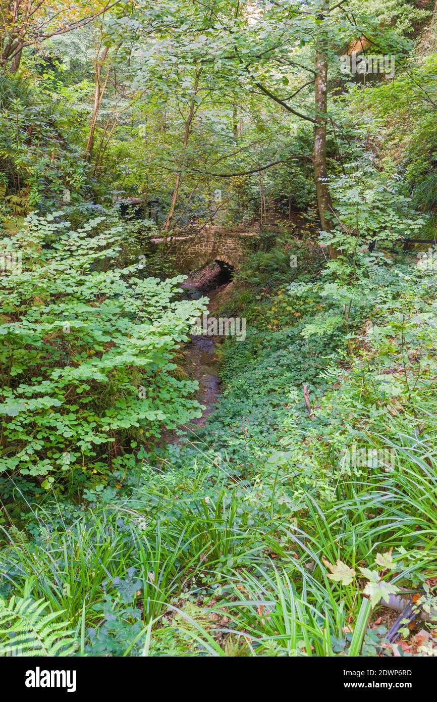 Fußgängerbrücke über einen Bach in der Chine Gorge Shanklin Isle of Wight UK. Oktober 2020 Stockfoto