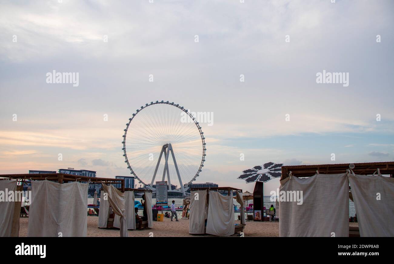 Das höchste Riesenrad der Welt Ain Dubai, in Blue Waters bei Meraas in Dubai, VAE Stockfoto