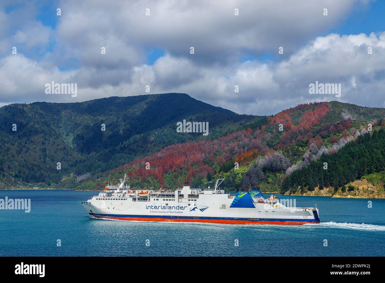 Die Aratere interislander Fähre in der Cook Strait innerhalb der Marlborough Sounds von South Island, Neuseeland. Stockfoto