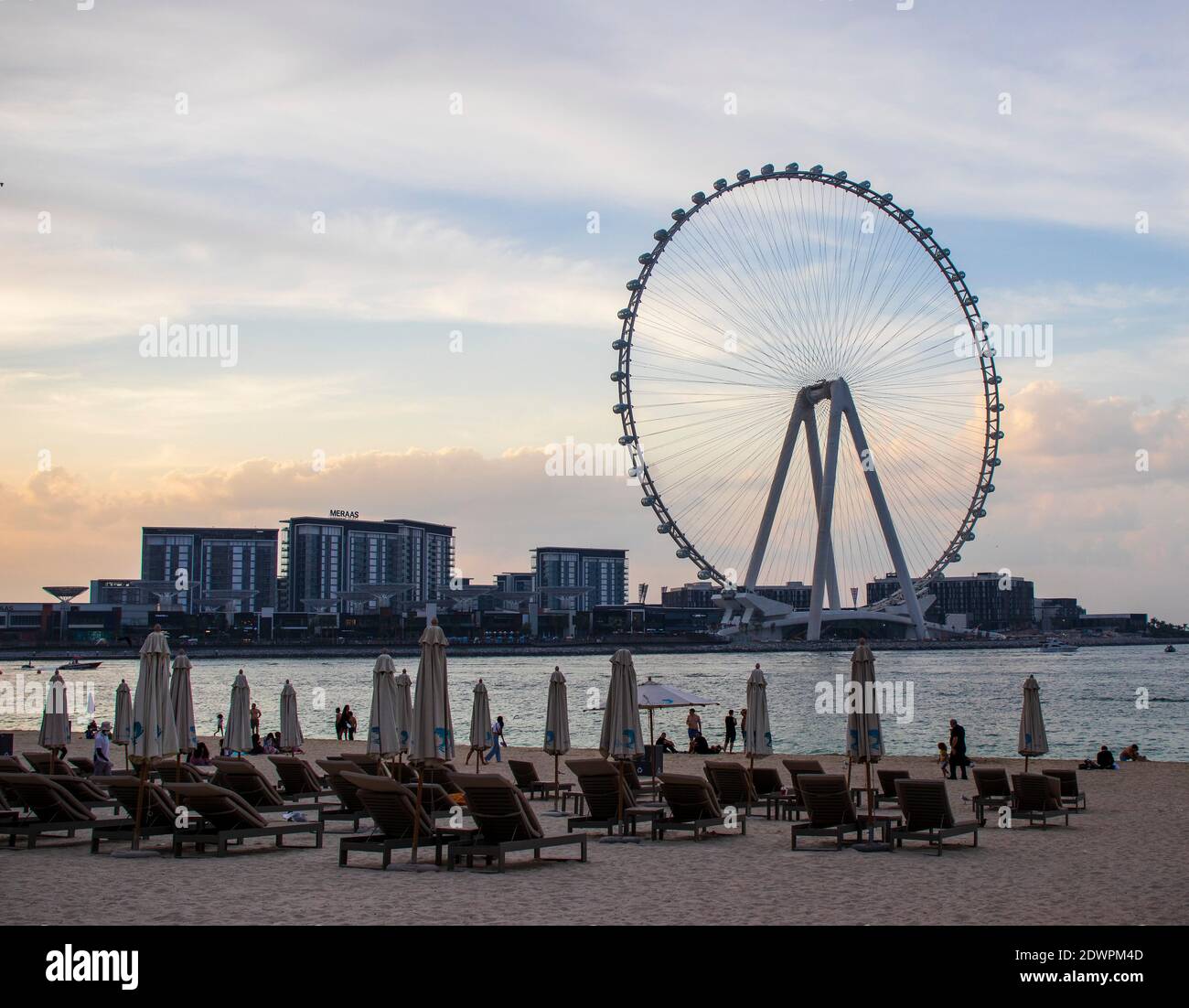 Das höchste Riesenrad der Welt Ain Dubai, in Blue Waters bei Meraas in Dubai, VAE Stockfoto