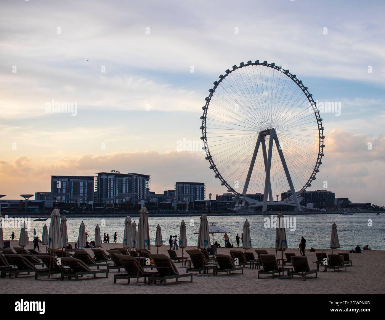 Das höchste Riesenrad der Welt Ain Dubai, in Blue Waters bei Meraas in Dubai, VAE Stockfoto