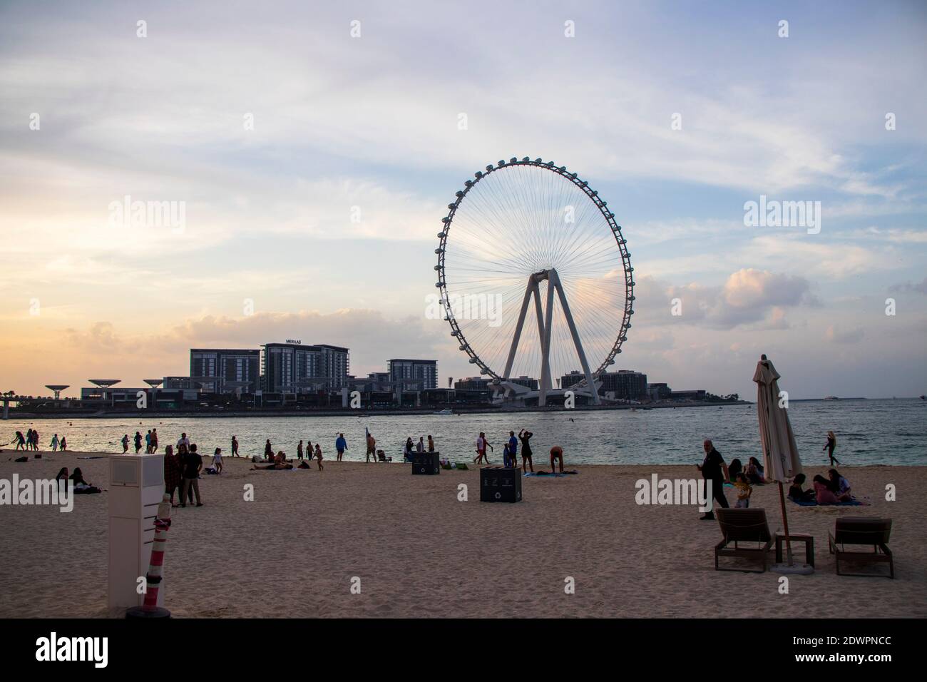 Das höchste Riesenrad der Welt Ain Dubai, in Blue Waters bei Meraas in Dubai, VAE Stockfoto