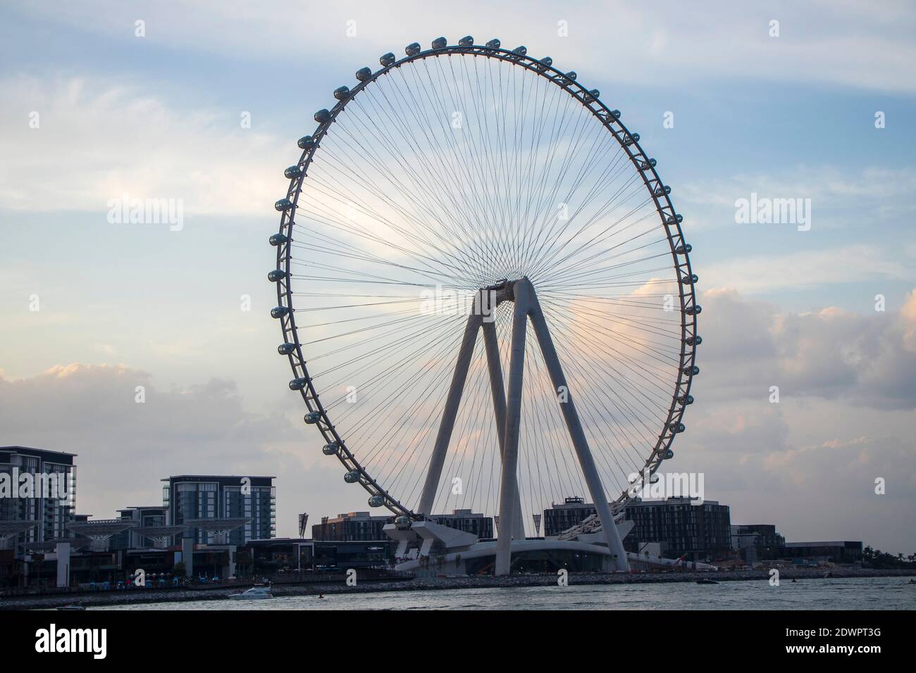 Das höchste Riesenrad der Welt Ain Dubai, in Blue Waters bei Meraas in Dubai, VAE Stockfoto