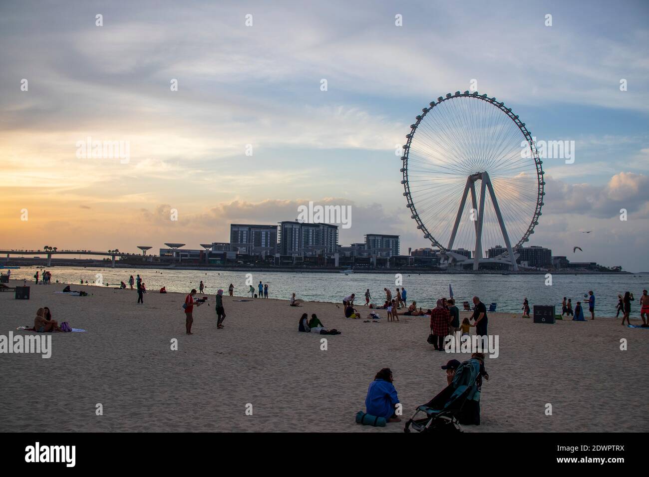 Das höchste Riesenrad der Welt Ain Dubai, in Blue Waters bei Meraas in Dubai, VAE Stockfoto