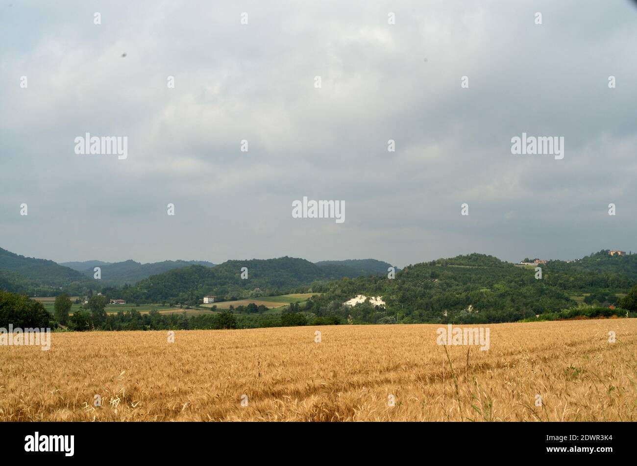 Malerische Aussicht auf den landwirtschaftlichen Bereich gegen Himmel Stockfoto